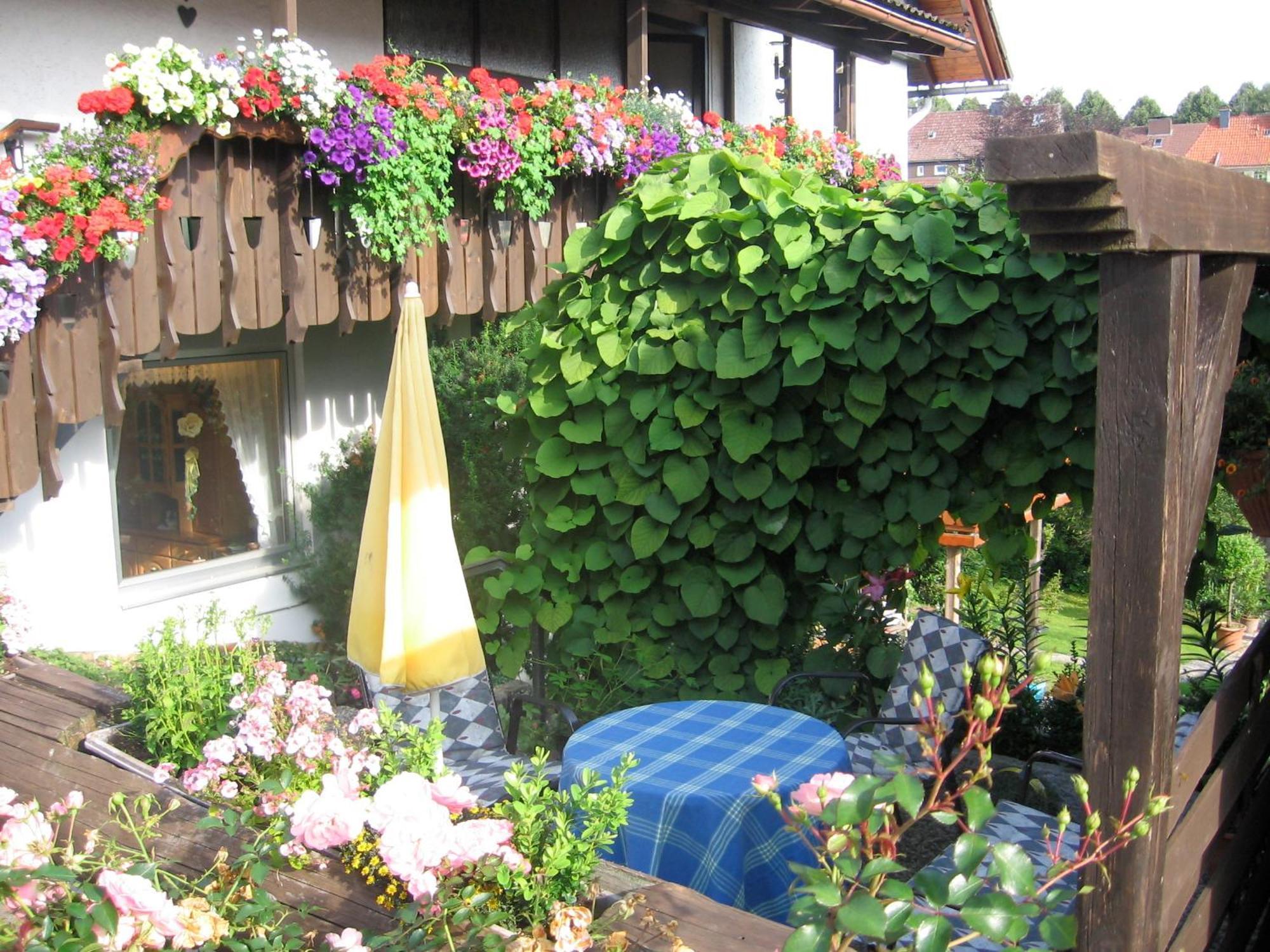 Apartmenthaus - Haus Am Schultal, Braunlage Exteriör bild